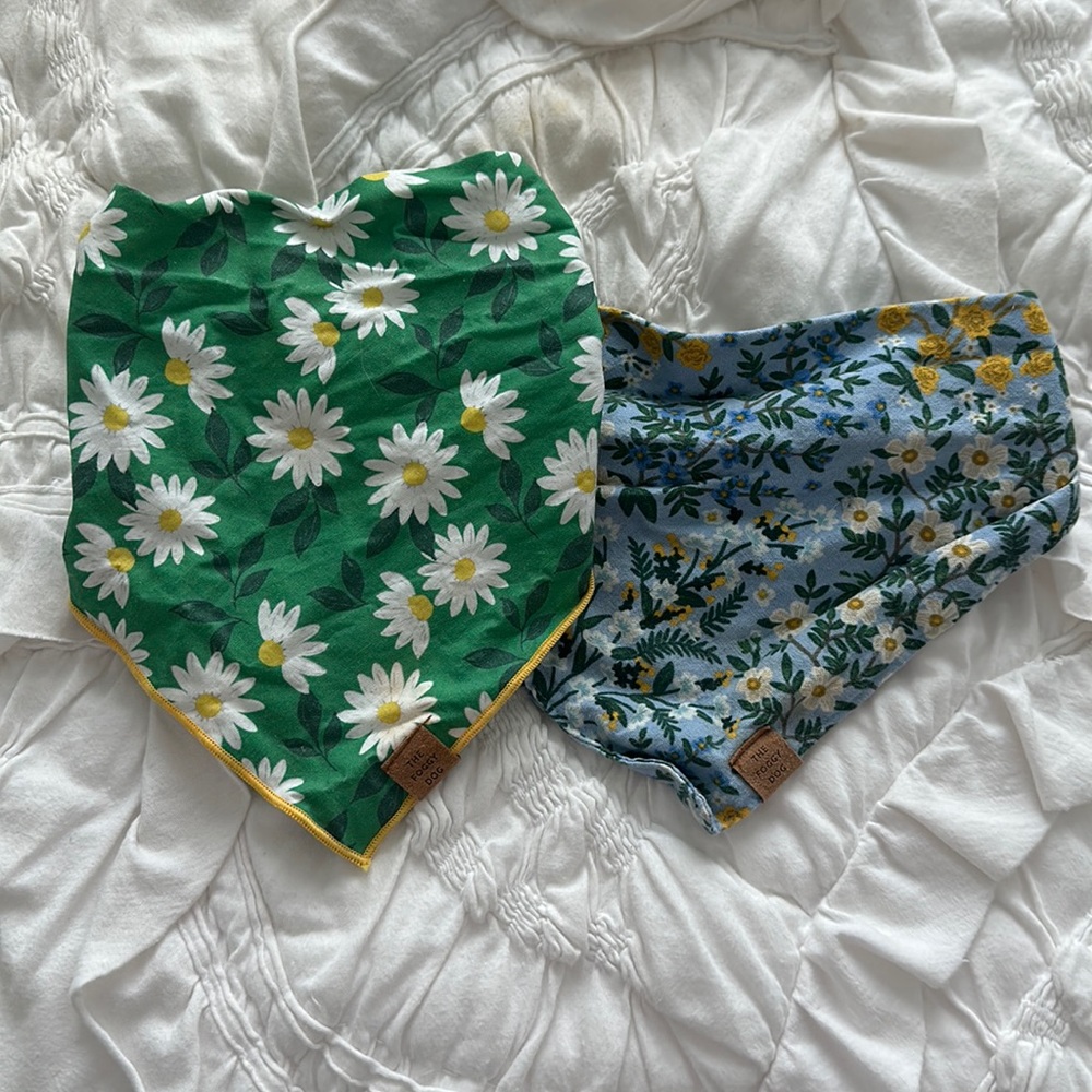 Foggy Dog Bandanas